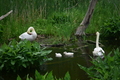 album/060920262/DSC_0094.JPG