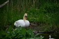 album/060920262/DSC_0096.JPG