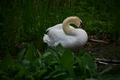 album/060920262/DSC_0097.JPG