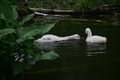 album/060920262/DSC_0098.JPG