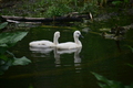 album/060920262/DSC_0100.JPG