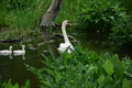 album/060920262/DSC_0101.JPG