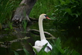 album/060920262/DSC_0102.JPG