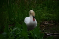 album/060920262/DSC_0105.JPG