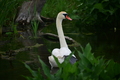 album/060920262/DSC_0108.JPG