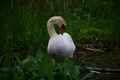 album/060920262/DSC_0109.JPG