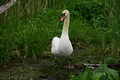album/060920262/DSC_0112.JPG