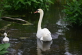 album/060920262/DSC_0113.JPG