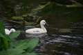 album/060920262/DSC_0114.JPG