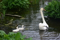 album/060920262/DSC_0117.JPG