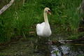 album/060920262/DSC_0118.JPG