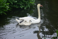 album/060920262/DSC_0120.JPG