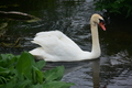 album/060920262/DSC_0121.JPG