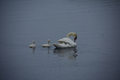 album/060920262/DSC_0128.JPG