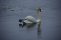 album/060920262/DSC_0131.JPG