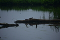 album/060920262/DSC_0136.JPG