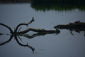 album/060920262/DSC_0137.JPG