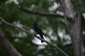 album/060920262/DSC_0141.JPG