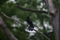 album/060920262/DSC_0142.JPG