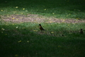 album/060920262/DSC_0160.JPG