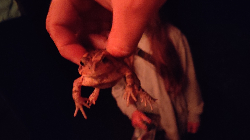 album/06142026/images/IMG20260614230002.jpg