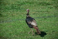 album/06152026/DSC_0161.JPG