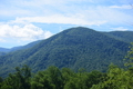 album/06152026/DSC_0167.JPG