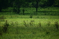 album/06152026/DSC_0170.JPG