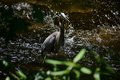 album/06152026/DSC_0177.JPG