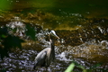 album/06152026/DSC_0178.JPG