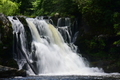 album/06152026/DSC_0202.JPG