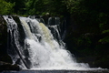album/06152026/DSC_0203.JPG