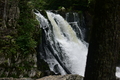 album/06152026/DSC_0215.JPG