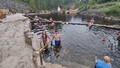 album/06162025/IMG20250616163952.jpg