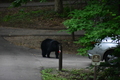 album/06162026/DSC_0231.JPG