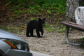 album/06162026/DSC_0238.JPG