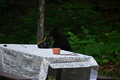 album/06162026/DSC_0239.JPG