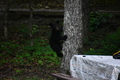 album/06162026/DSC_0244.JPG