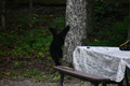album/06162026/DSC_0245.JPG