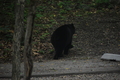 album/06162026/DSC_0248.JPG