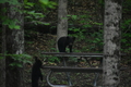 album/06162026/DSC_0250.JPG