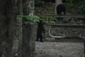 album/06162026/DSC_0251.JPG