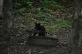 album/06162026/DSC_0252.JPG