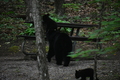 album/06162026/DSC_0253.JPG