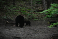 album/06162026/DSC_0255.JPG