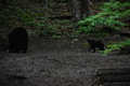 album/06162026/DSC_0257.JPG