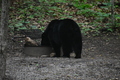 album/06162026/DSC_0258.JPG