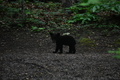 album/06162026/DSC_0259.JPG