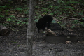 album/06162026/DSC_0263.JPG