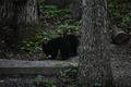 album/06162026/DSC_0265.JPG